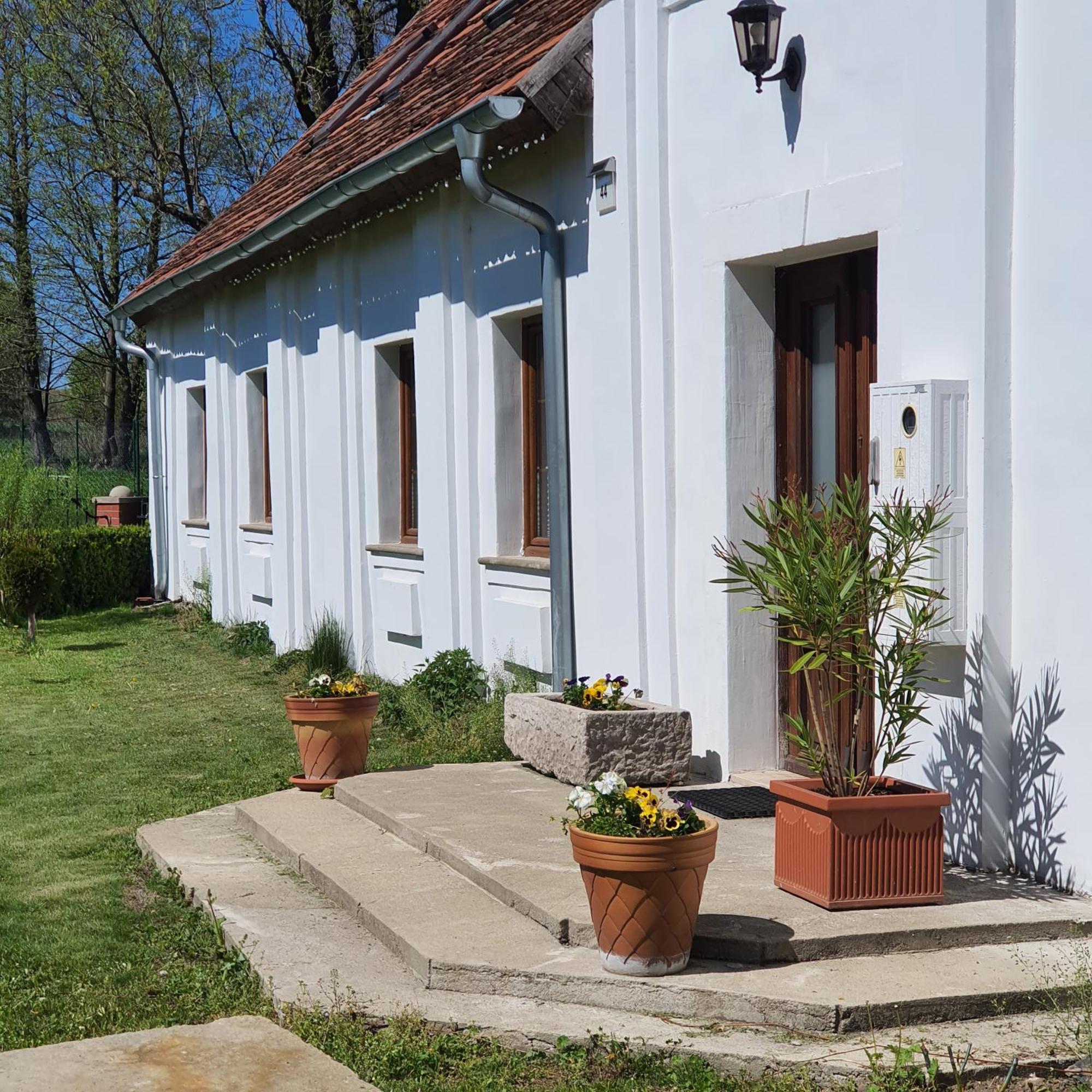 Dworek Marmis - Idealny Dla Rodzin Grudza Exterior foto